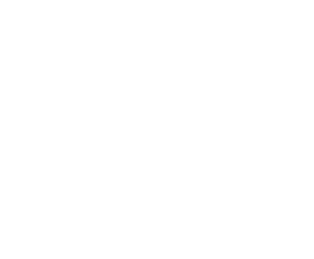 Logo_MarathonAnnecy_Brooks_BLANC