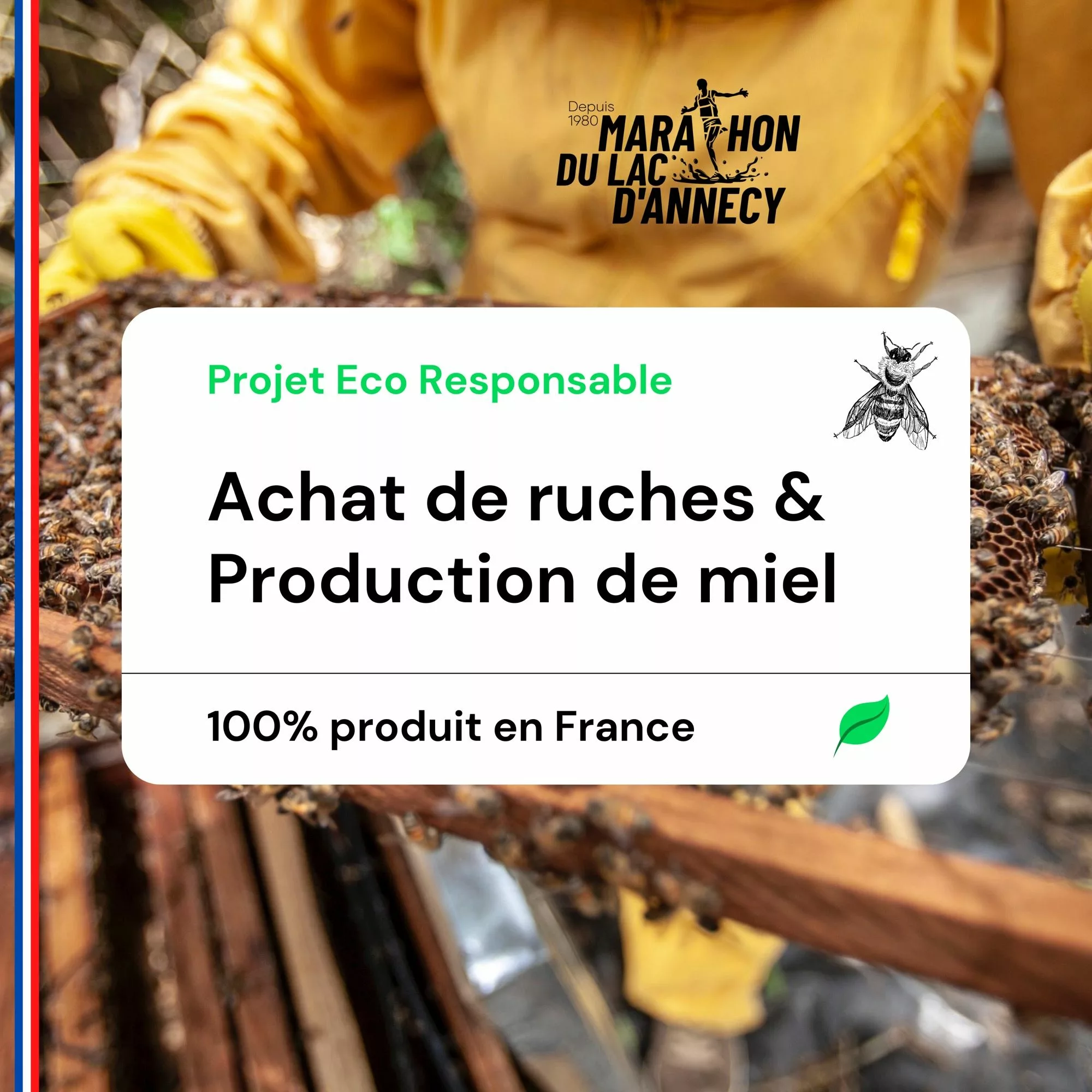 Projet-Ruche-Miel-2